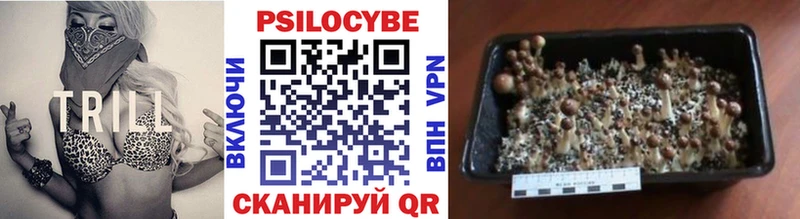 Галлюциногенные грибы GOLDEN TEACHER  где найти наркотики  Дюртюли 